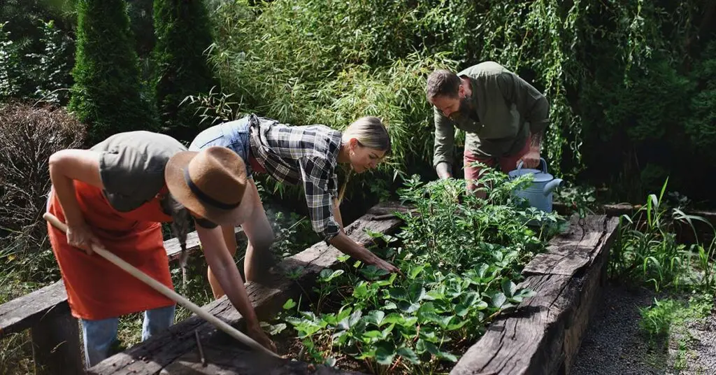 blog why community engagement matters for growing churches